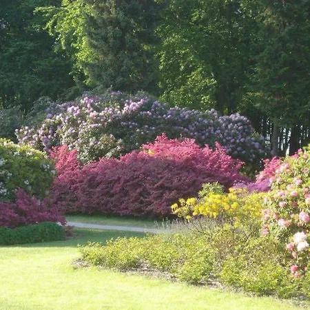 Hinter Dem Rathaus - Haus Ostseekrabbe Lejlighed Graal-Mueritz