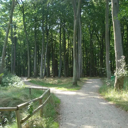 Hinter Dem Rathaus - Haus Ostseekrabbe Graal-Mueritz