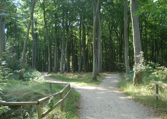 Hinter Dem Rathaus - Haus Ostseekrabbe